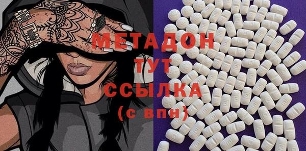 индика Алексин