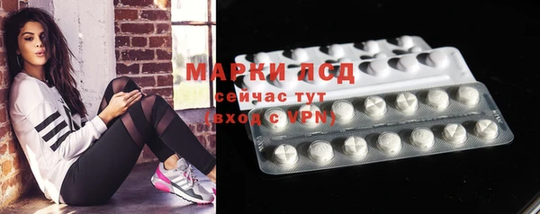 индика Алексин