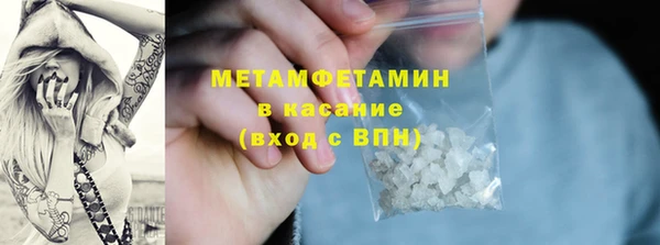 индика Алексин