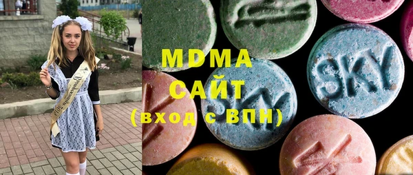 индика Алексин