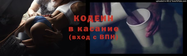 индика Алексин