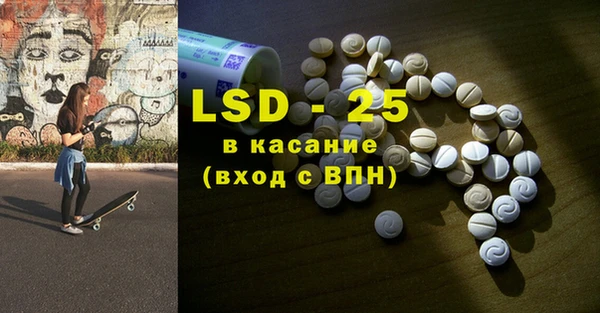индика Алексин