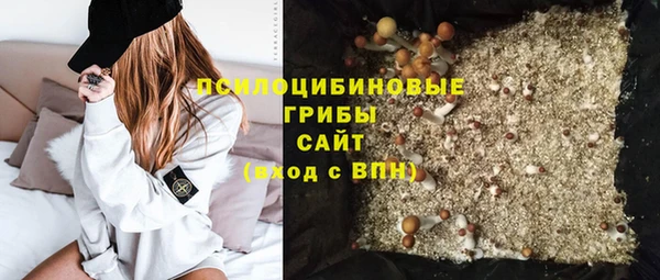 прущая мука Алзамай
