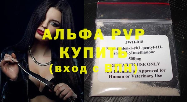 индика Алексин