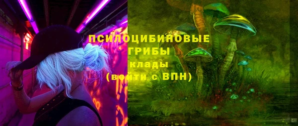 прущая мука Алзамай