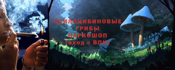 прущая мука Алзамай