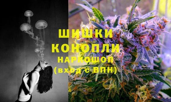 прущая мука Алзамай