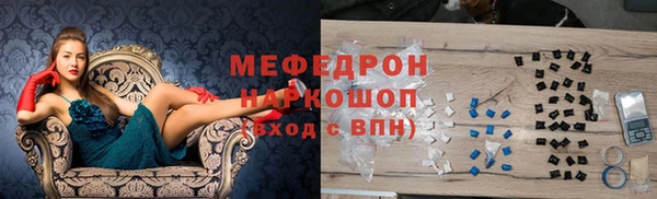 индика Алексин